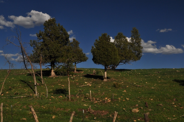 On Echo Basin Road